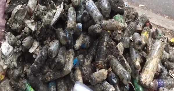 TPHCM không dùng ly, ống hút nhựa