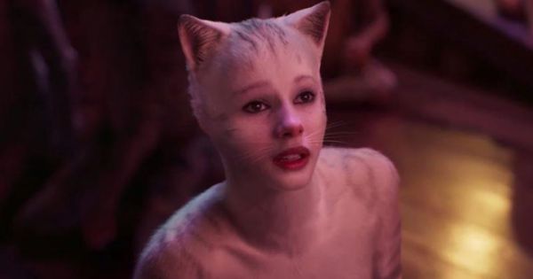 Cấy tế bào người vào động vật: Điều gì sẽ xảy ra?