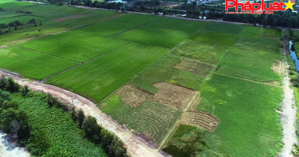 Kỳ 2: Dính “bẫy” hợp đồng giả cách tài sản lấy lại được không?