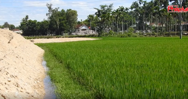 Quảng Ngãi: Dự án KDC Gia An - Nghĩa Kỳ chưa có phương án đền bù đã san lấp mặt bằng