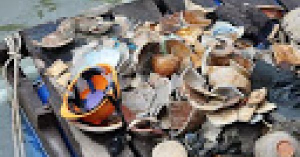 Khai quật tàu cổ đắm ở Dung Quất, thu gần 10.000 mảnh vỡ