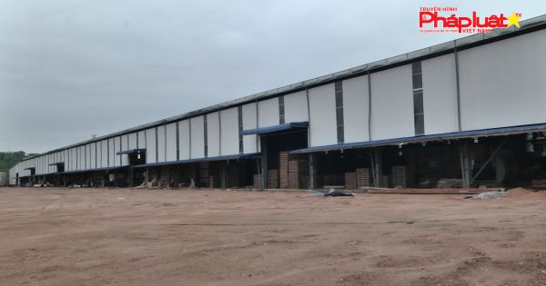 Công ty Hoàng Gia Yên Bái có biểu hiện coi thường, thách thức pháp luật?