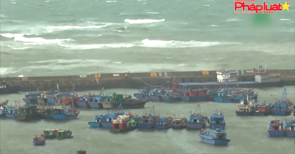 Thủ tướng Chính phủ yêu cầu khẩn trương khắc phục hậu quả cơn bão số 3