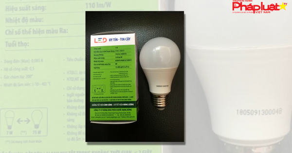 Quảng Ninh: Thu giữ gần 200 bóng đèn mang nhãn hiệu 