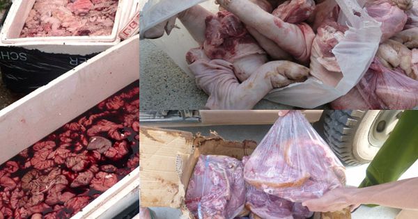 Công an Hà Nội truy bắt xe container chứa 25 tấn nội tạng thối