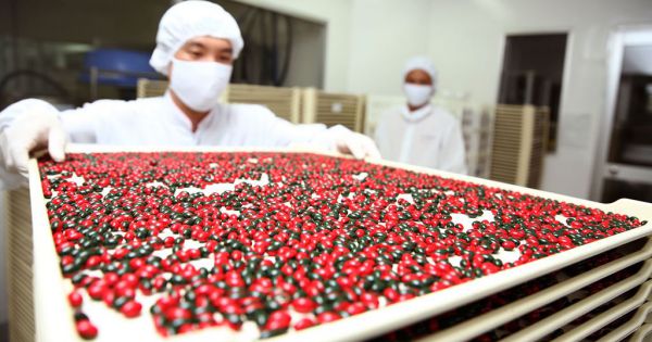 Sai phạm trong đấu thầu thuốc, buộc thu hồi hơn 10,5 tỷ đồng