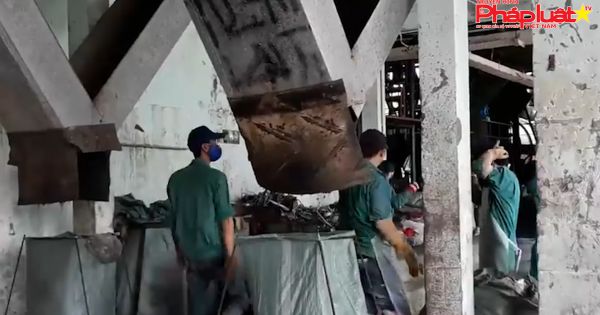 Vụ 300 xác thai nhi tại nhà máy rác ở Cà Mau: Yêu cầu Công ty Công Lý rút kinh nghiệm vì thông tin không chính xác