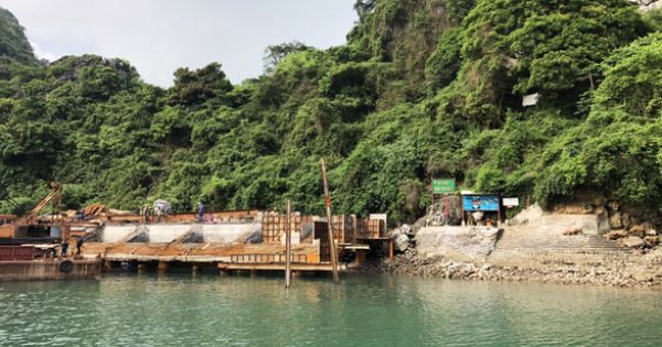 Quảng Ninh: Kiên quyết xử lý các hành vi xâm phạm tại vùng Di sản Vịnh Hạ Long