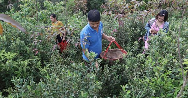 Tin nóng 13/08/2019