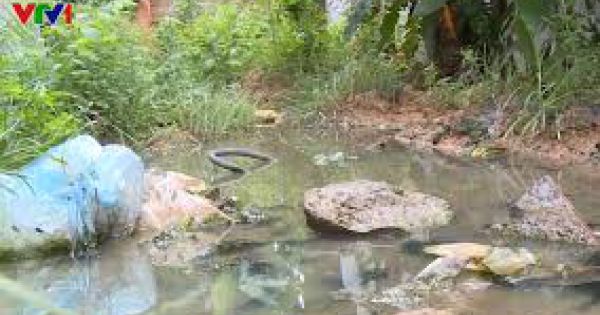 Dự án giãn dân 10 năm không có đường thoát nước thải