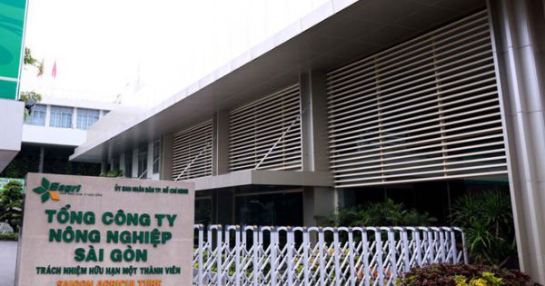 Kỷ luật cảnh cáo Phó giám đốc Sở NN-PTNT TPHCM liên quan sai phạm ở SAGRI