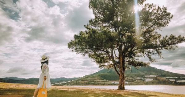 Điểm mặt những cây “sống ảo”, dân phượt khó bỏ qua check-in