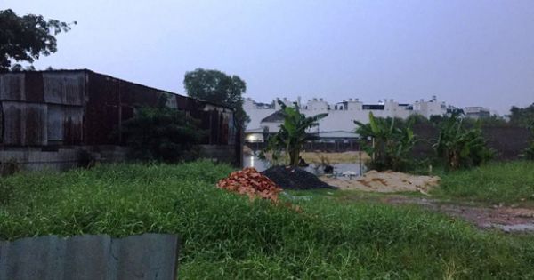 TP HCM: Bắt nữ cán bộ tiếp tay gây thất thoát hơn 6,6 tỉ đồng thuế đất