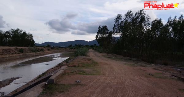 Kỳ 5: UBND tỉnh Bình Thuận chỉ đạo xem xét thu hồi dự án, kiểm điểm trách nhiệm cá nhân liên quan