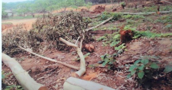 Quảng Ninh: Ai chịu trách nhiệm 