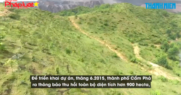 Đã thu hồi hơn 27 tỉ chi sai vụ đốn rừng trồng nhãn để trục lợi đền bù