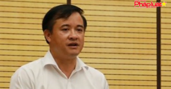 Hà Nội: Trần tình lý do hợp thức hóa sai phạm 57 biệt thự tiền tỉ xây trên đất rừng