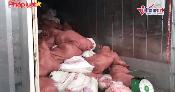 Bình Dương phát hiện 3 container chứa thịt heo thối