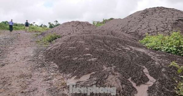 Phạt 1,5 triệu đồng DN đổ hàng ngàn m3 chất thải từ Alumin Nhân Cơ ra môi trường