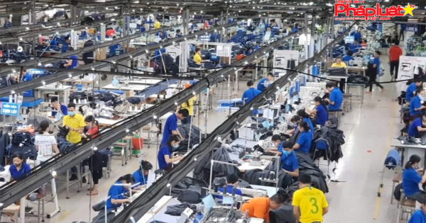 Xử lý các vướng mắc về đất đai làm chậm tiến độ cổ phần hóa Doanh nghiệp nhà nước