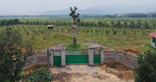 Chủ tịch Hà Nội chỉ đạo thanh tra xử lý thông tin giao đất sai phép cho người nhà Giám đốc Sở KH&ĐT