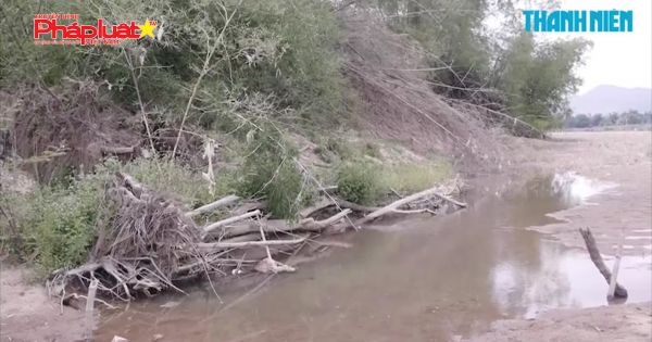 Tập đoàn Phúc Lộc khai thác cát gây sạt lở, nhưng không chịu bồi thường ở Bình Định