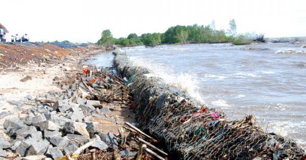 Phòng chống sạt lở khu vực Vườn Quốc gia Mũi Cà Mau