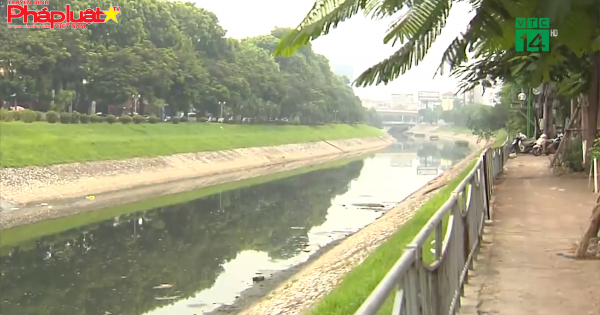 Sắp thả cá Koi Nhật và cá chép Việt xuống sông Tô Lịch và Hồ Tây