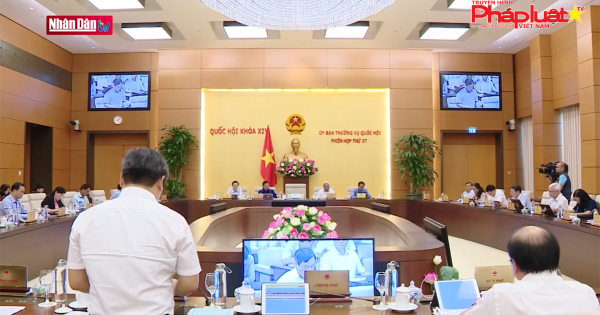 Băn khoăn về sửa đổi Luật Đầu tư và Luật Doanh nghiệp