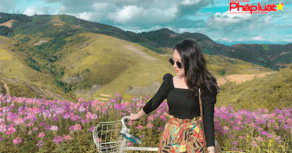 Đồi hoa tím biếc tựa trời u thu hút giới trẻ Việt check-in