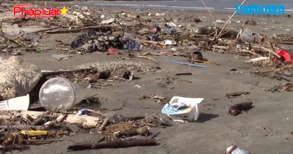 Bí thư Đà Nẵng lo du khách sẽ bỏ thành phố vì biển ô nhiễm