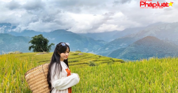 3 thiên đường “mùa vàng” ở Tây Bắc, đến khách Tây cũng “mê như điếu đổ”