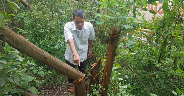 Vĩnh Phúc: Công ty Á Mỹ sản xuất gạch “bức tử” cuộc sống người dân