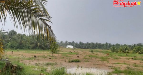 Bến Tre: Thi công dự án không có báo cáo đánh giá tác động môi trường, bị phạt 350 triệu đồng