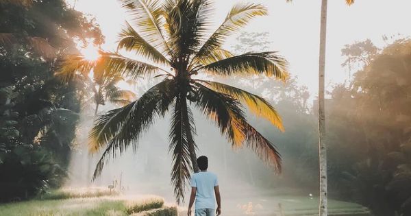 Khách Việt hoang mang, đòi hủy tour nếu Bali cấm “ở chung phòng trước kết hôn”