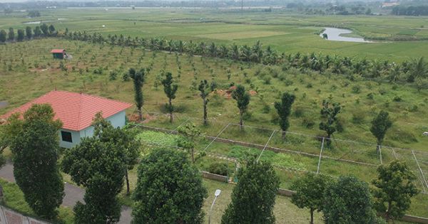 Kiểm điểm Giám đốc Sở KH-ĐT Hà Nội vụ giao đất trái luật cho mẹ và chị gái