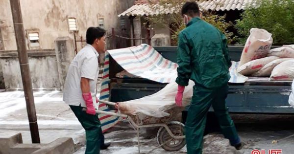 Hà Tĩnh: Thị xã Kỳ Anh phát hiện thêm ổ dịch tả lợn châu Phi thứ 3