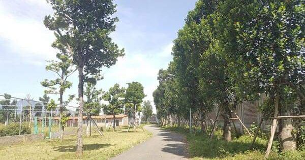 Hà Nội đình chỉ giải quyết vụ tố cáo Giám đốc Sở KH-ĐT