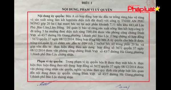 Vì sao công ty TNHH An Phú Nông ngang nhiên chặt phá cây trồng của người dân?