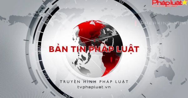 Tình trạng tố nhau trong vi phạm bản quyền âm nhạc: Làm sao cho công tâm?