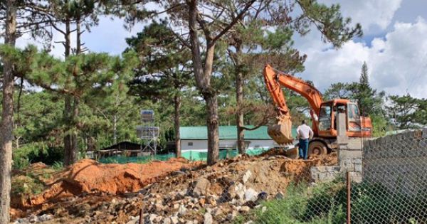 Đà Lạt: cưỡng chế, tháo dỡ nhà xây không phép giữa rừng thông