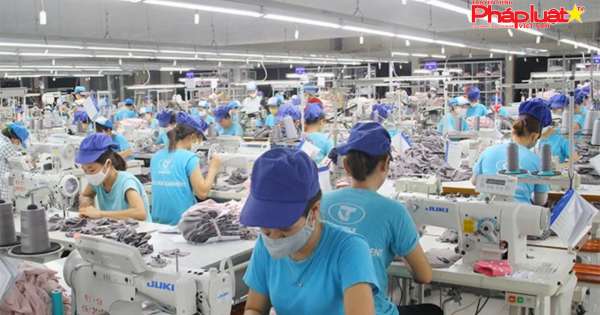 Muốn nghỉ hưu sớm vì kiệt sức