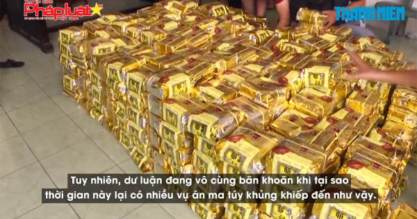 Ma tuý bị bắt ở TP HCM nhiều gấp 10 lần năm trước