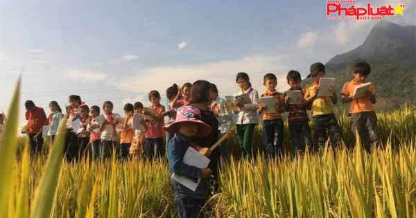 Tiết học ngập sắc vàng khiến trẻ em phố thị khát khao