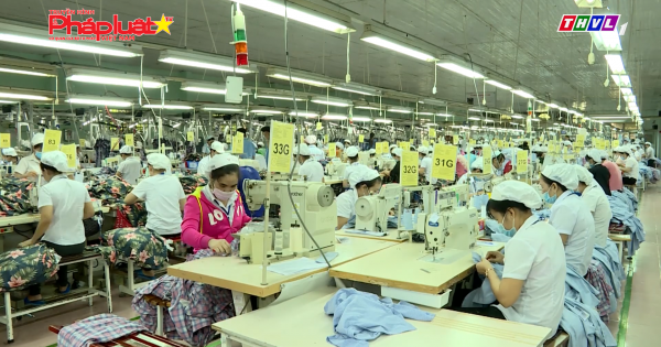 Bộ trưởng Đào Ngọc Dung: 'Không có chuyện vỡ quỹ bảo hiểm xã hội'