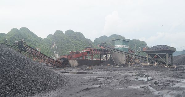 Quảng Ninh: Ngang nhiên sàng tuyển than trái phép tại cụm cảng Km6