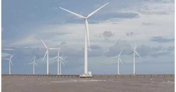 Cánh đồng điện gió trên biển duy nhất của Việt Nam
