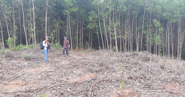 Thừa Thiên - Huế: Chủ tịch tỉnh đề nghị cơ quan điều tra nhanh chóng xử lý sai phạm ở dự án hồ Tả Trạch