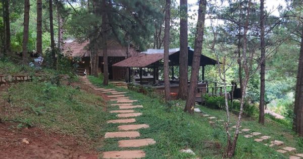 Kiểm tra xử lý công ty vi phạm trong thắng cảnh hồ Tuyền Lâm