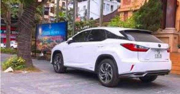 Lấy được biển số ôtô đẹp nhưng bị thu lại: Tạm đình chỉ công tác 2 cán bộ